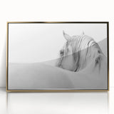 Elegant White Horse - Fine Art Photography Framed Prints