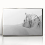 Elegant White Horse - Fine Art Photography Framed Prints