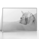 Elegant White Horse - Fine Art Photography Framed Prints