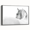 Elegant White Horse - Fine Art Photography Framed Prints