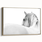 Elegant White Horse - Fine Art Photography Framed Prints