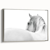 Elegant White Horse - Fine Art Photography Framed Prints