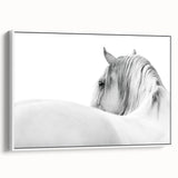 Elegant White Horse - Fine Art Photography Framed Prints