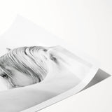 Elegant White Horse - Fine Art Photography Framed Prints