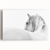 Elegant White Horse - Fine Art Photography Framed Prints