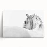 Elegant White Horse - Fine Art Photography Framed Prints