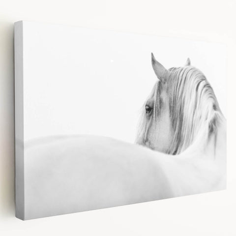 Elegant White Horse - Fine Art Photography Framed Prints