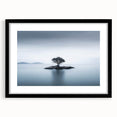 Solitary Island Tree - Fine Art Photography Acrylic Prints