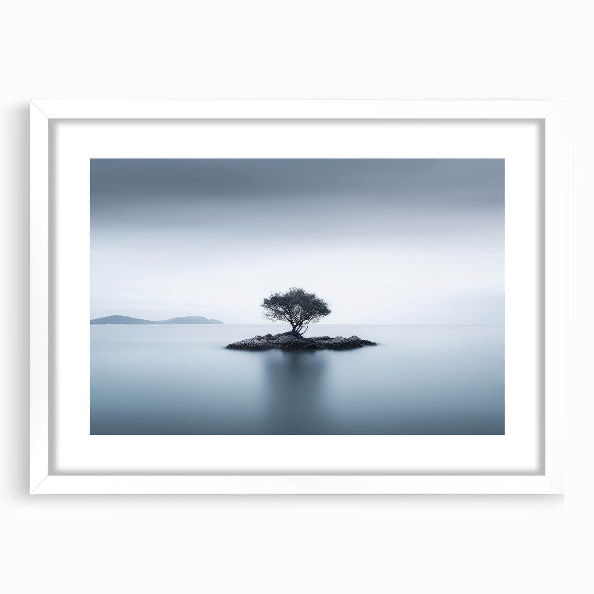 Solitary Island Tree - Fine Art Photography Acrylic Prints