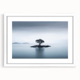 Solitary Island Tree - Fine Art Photography Acrylic Prints