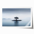 Solitary Island Tree - Fine Art Photography Acrylic Prints