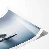 Solitary Island Tree - Fine Art Photography Acrylic Prints