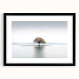 Lone Tree Reflection - Fine Art Photography Framed Prints