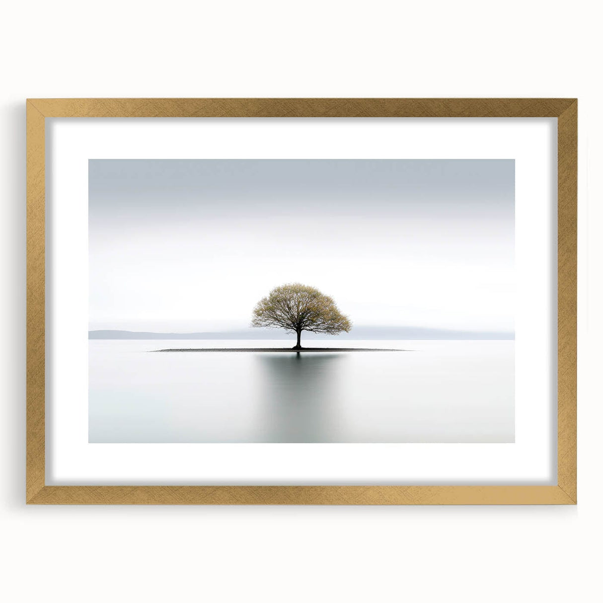Lone Tree Reflection - Fine Art Photography Framed Prints
