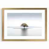 Lone Tree Reflection - Fine Art Photography Framed Prints