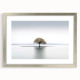 Lone Tree Reflection - Fine Art Photography Framed Prints