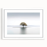 Lone Tree Reflection - Fine Art Photography Framed Prints