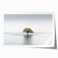 Lone Tree Reflection - Fine Art Photography Framed Prints