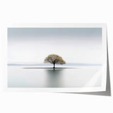 Lone Tree Reflection - Fine Art Photography Framed Prints