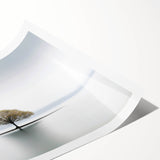 Lone Tree Reflection - Fine Art Photography Framed Prints