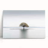 Lone Tree Reflection - Fine Art Photography Framed Prints