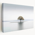 Lone Tree Reflection - Fine Art Photography Framed Prints