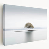 Lone Tree Reflection - Fine Art Photography Framed Prints