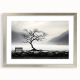 Misty Lake Bench - Fine Art Photography Framed Prints