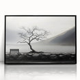 Misty Lake Bench - Fine Art Photography Framed Prints