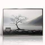 Misty Lake Bench - Fine Art Photography Framed Prints