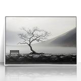 Misty Lake Bench - Fine Art Photography Framed Prints