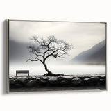 Misty Lake Bench - Fine Art Photography Framed Prints