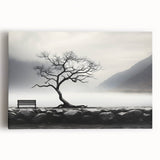 Misty Lake Bench - Fine Art Photography Framed Prints