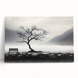 Misty Lake Bench - Fine Art Photography Framed Prints