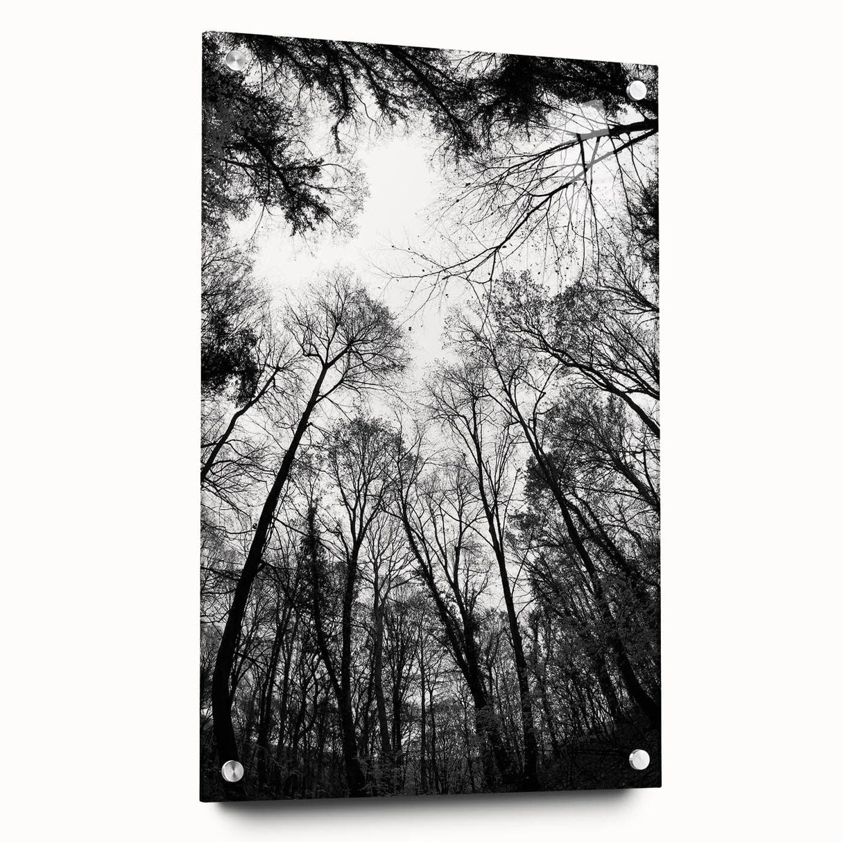 Urban Architectural Wall Art – Modern Cityscape Photography Print