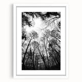 Urban Architectural Wall Art – Modern Cityscape Photography Print