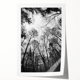 Urban Architectural Wall Art – Modern Cityscape Photography Print