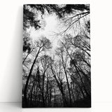 Urban Architectural Wall Art – Modern Cityscape Photography Print