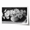 Monochrome Floral Elegance - Fine Art Photography Framed Prints