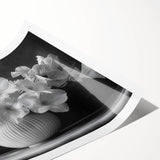 Monochrome Floral Elegance - Fine Art Photography Framed Prints