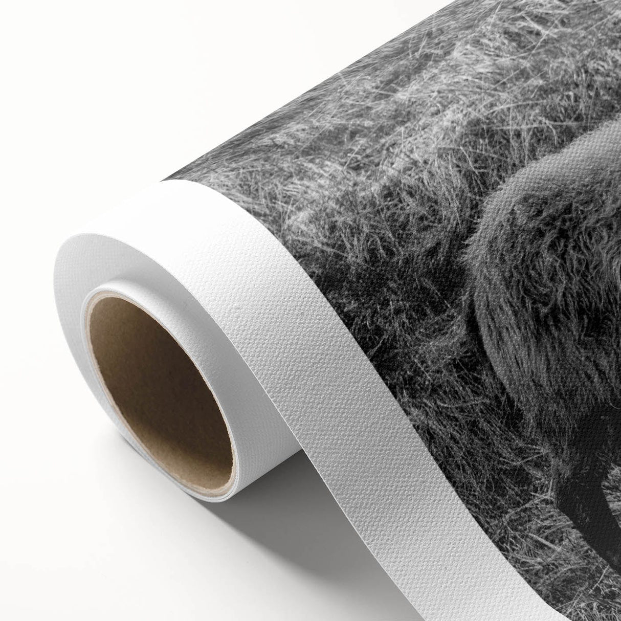Fine Art Photography Canvas Prints – Rustic Ram Portrait