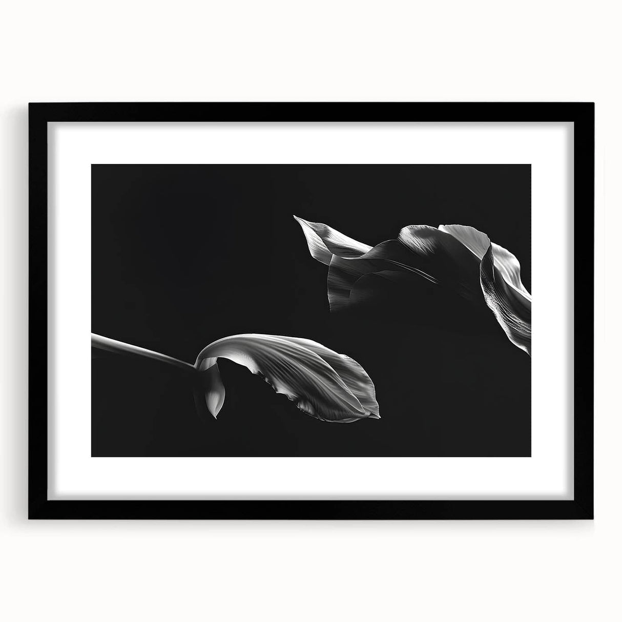 Elegant Floral Motion - Fine Art Photography Canvas Prints