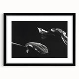 Elegant Floral Motion - Fine Art Photography Canvas Prints