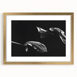 Elegant Floral Motion - Fine Art Photography Canvas Prints