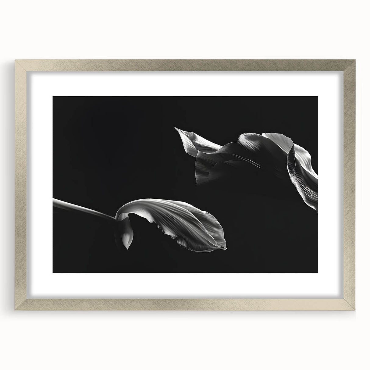 Elegant Floral Motion - Fine Art Photography Canvas Prints