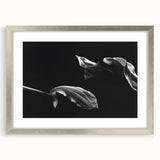 Elegant Floral Motion - Fine Art Photography Canvas Prints