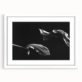 Elegant Floral Motion - Fine Art Photography Canvas Prints