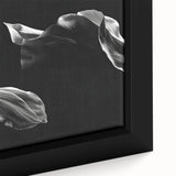 Elegant Floral Motion - Fine Art Photography Canvas Prints