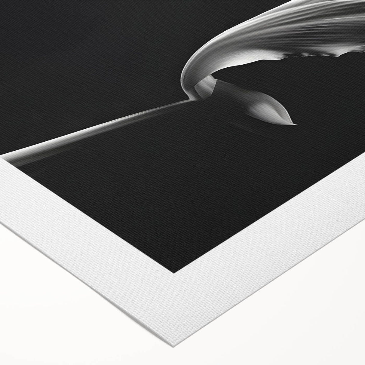 Elegant Floral Motion - Fine Art Photography Canvas Prints