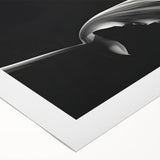 Elegant Floral Motion - Fine Art Photography Canvas Prints